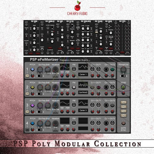 PSP Poly Modular-samling