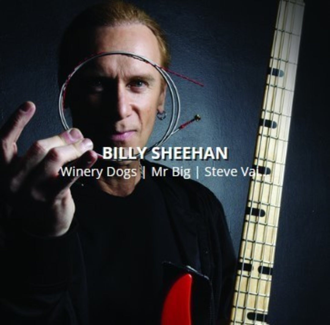 Rotosound E-Bass-strenger Swing Bass 66 - sett 4-strengers Billy Sheehan Custom 43-110 (BS66)