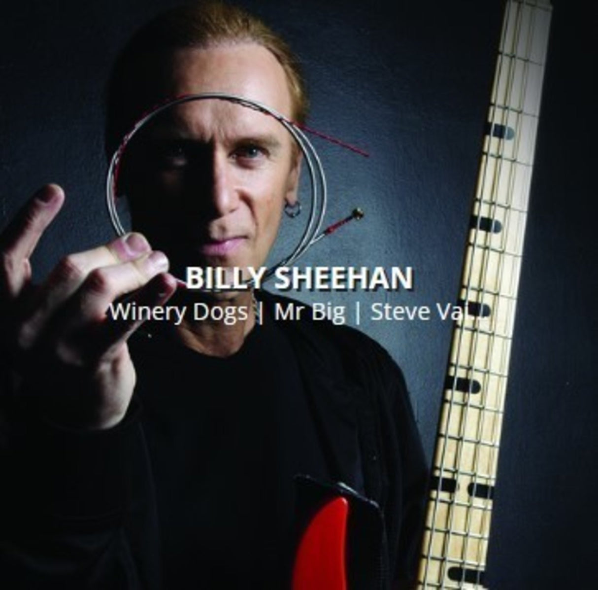 Rotosound E-Bass-strenger Swing Bass 66 - sett 4-strengers Billy Sheehan Custom 43-110 (BS66)