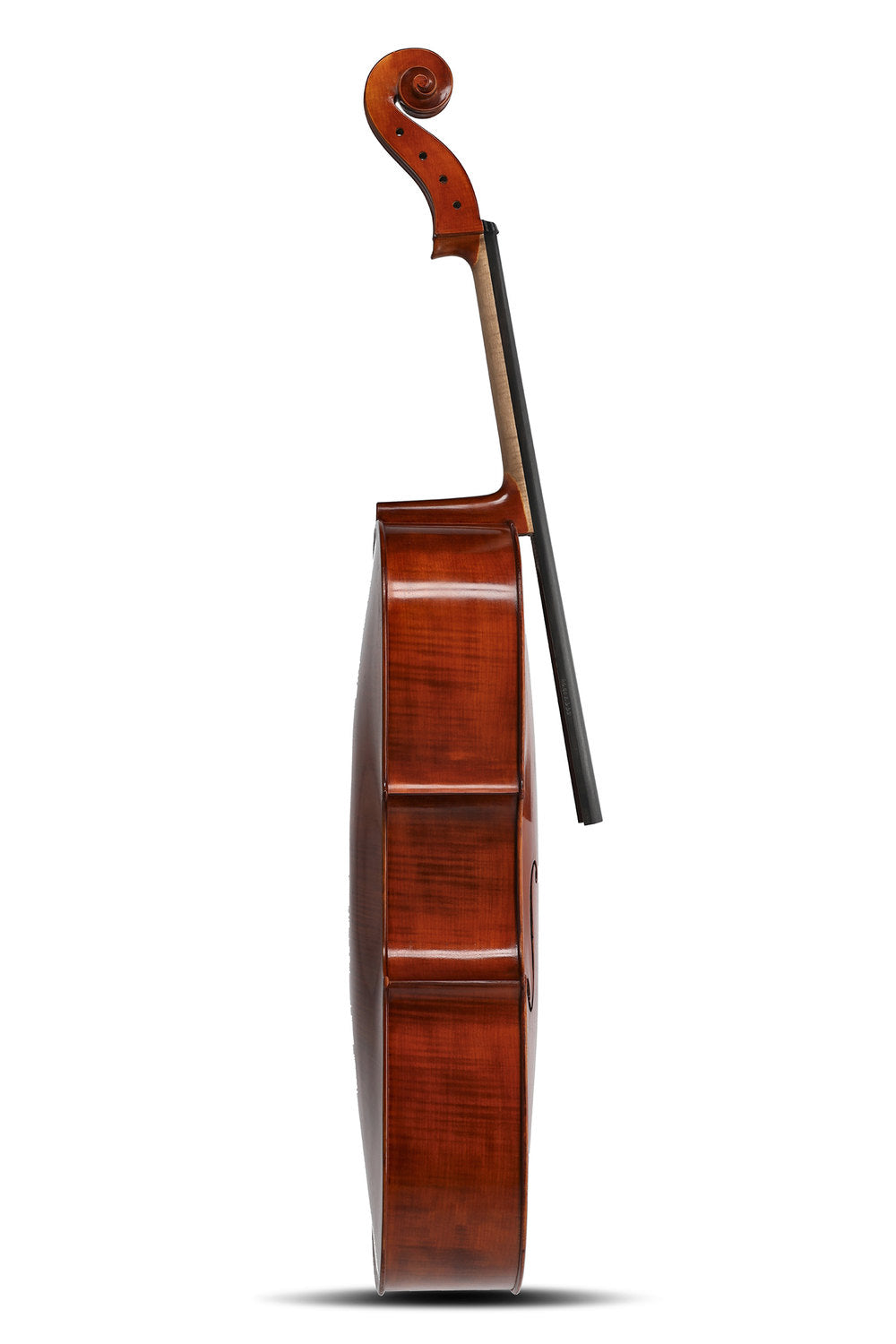 GEWA Europa Maestro cello 4/4, maroon spritlakk