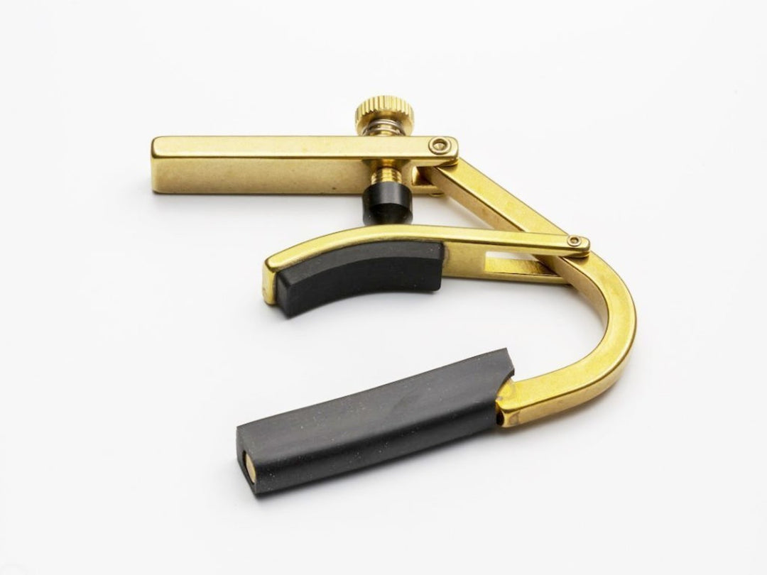 Shubb C8B Delvis Capo