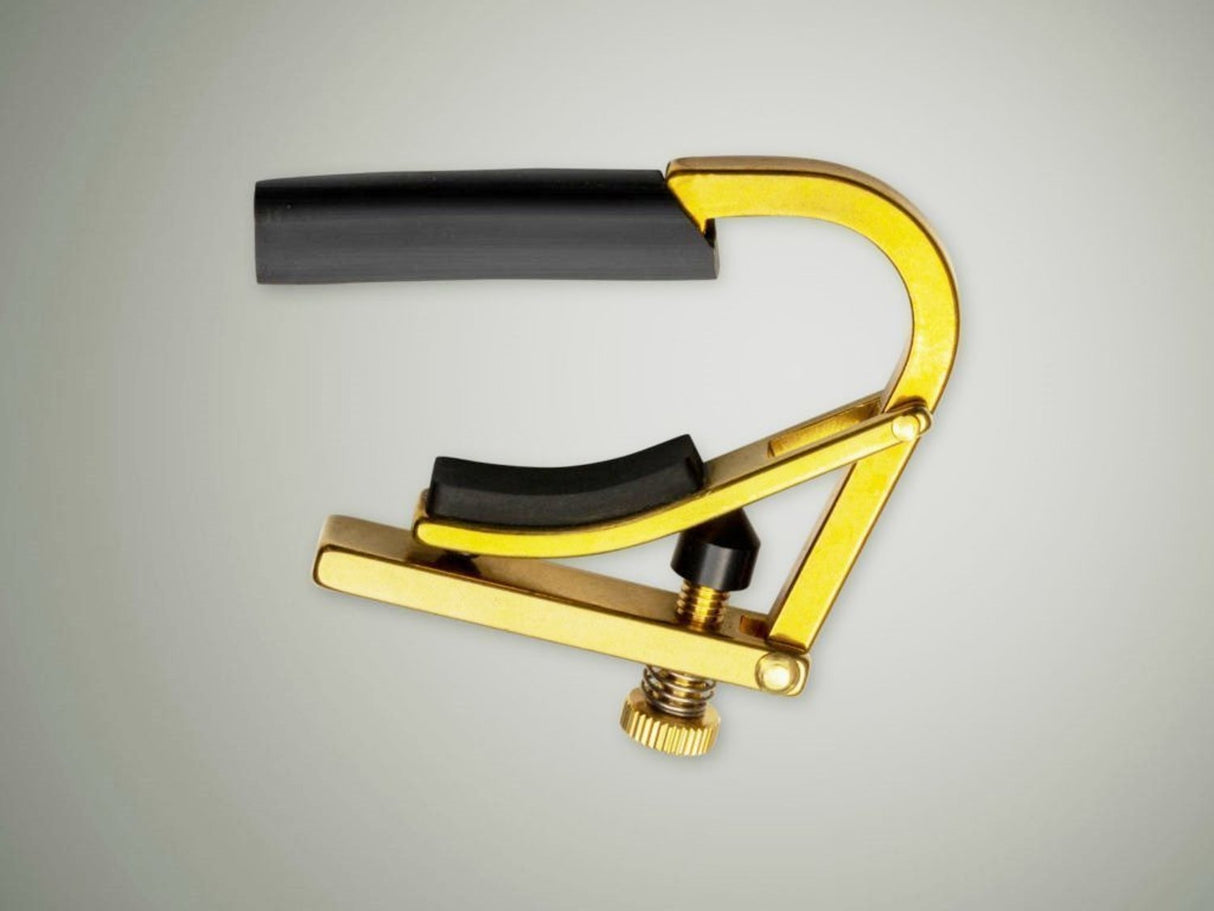 Shubb C8B Delvis Capo