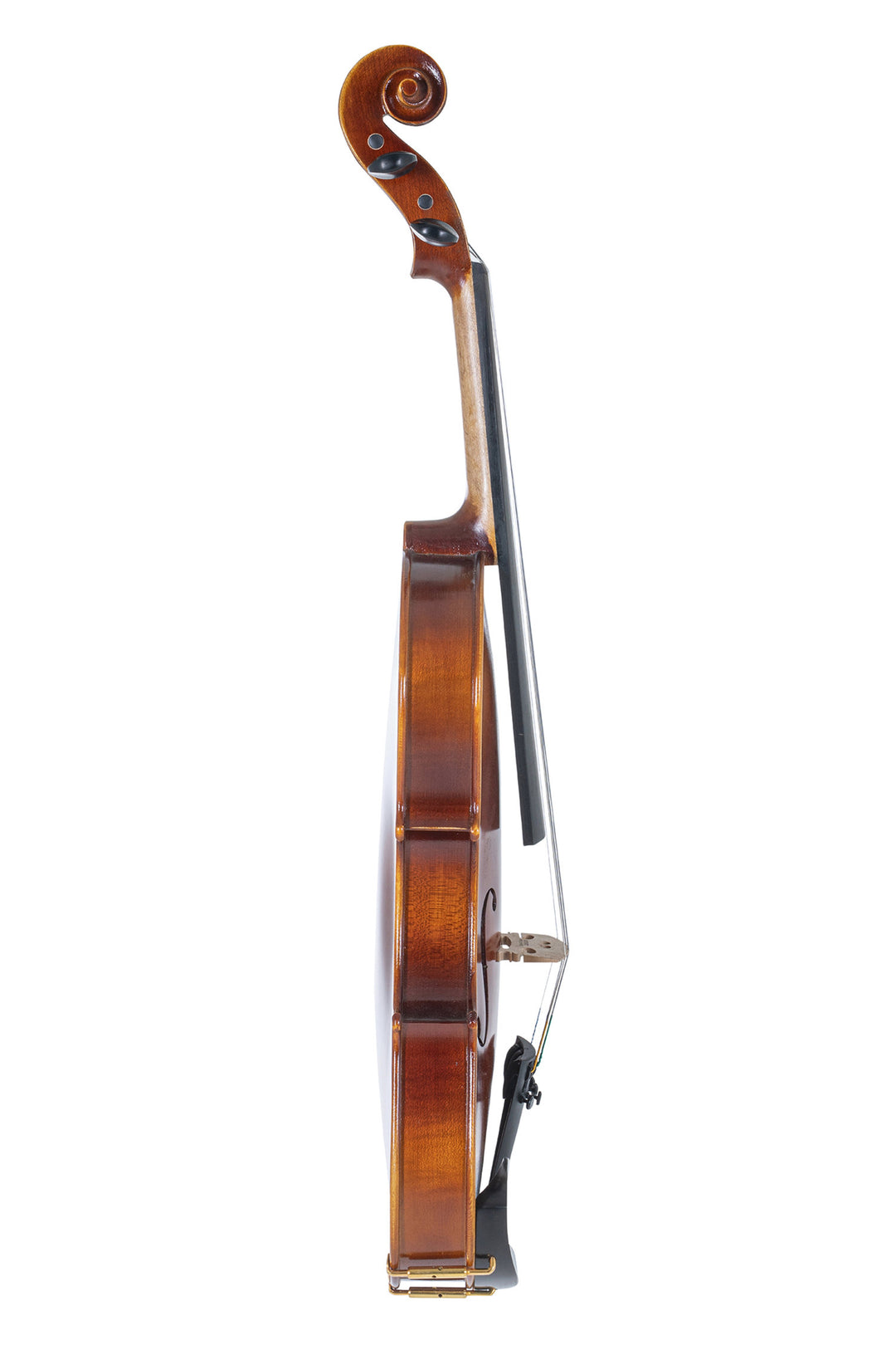 GEWA Fioliner Blackwood - 4/4 (klargjort)