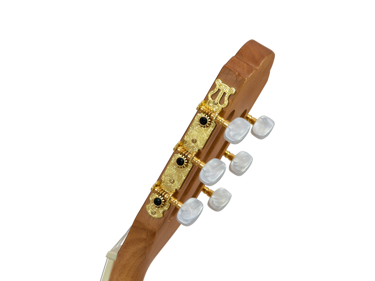 DiMavery CN-300 klassisk gitar, mahogni