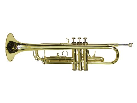 DiMavery TP-10 Bb trompet, gull