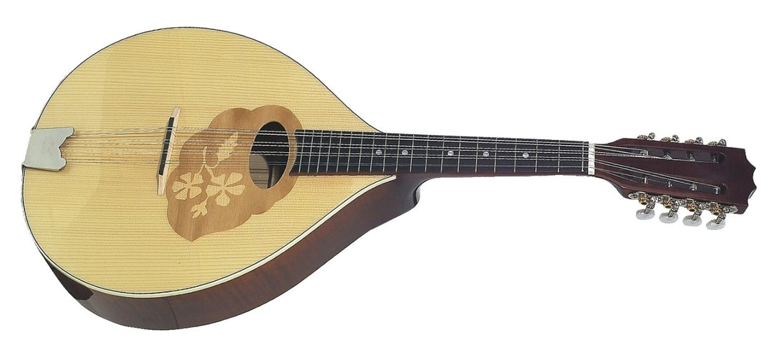 GEWA Mandola Pro Arte - Høyglans