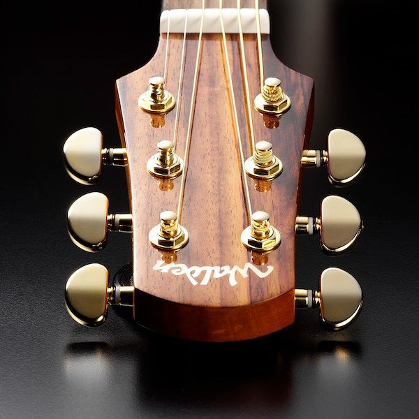 Walden G630CEW Western gitar (naturlig)