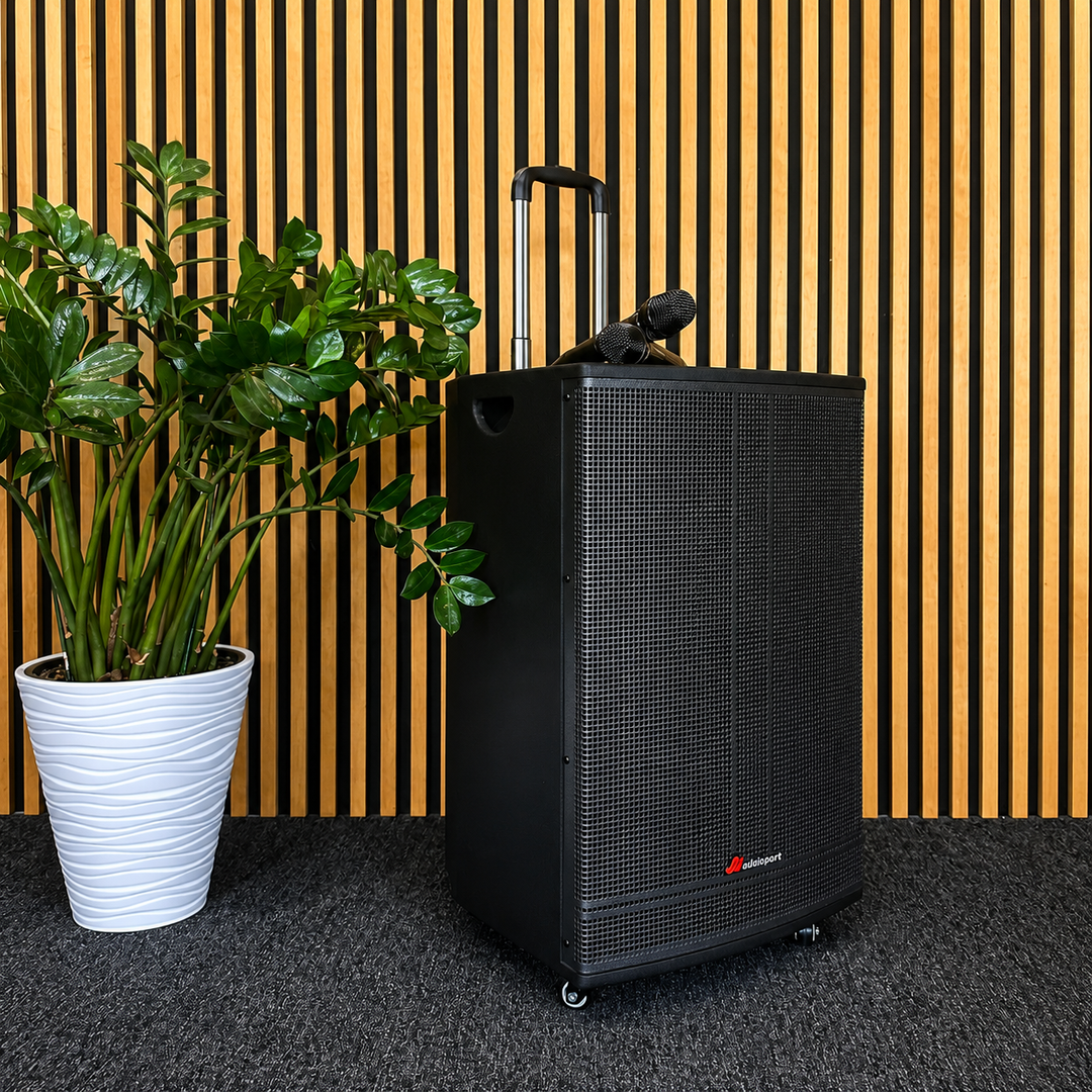 Audioport V15 transportabel aktiv høyttaler 500 W med 2 mikrofoner