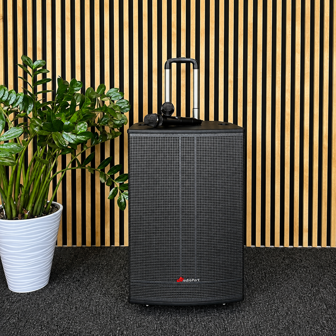 Audioport V15 transportabel aktiv høyttaler 500 W med 2 mikrofoner