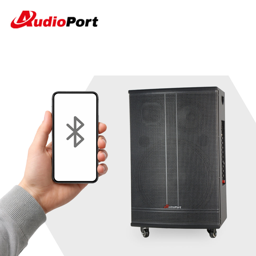 Audioport V15 transportabel aktiv høyttaler 500 W med 2 mikrofoner