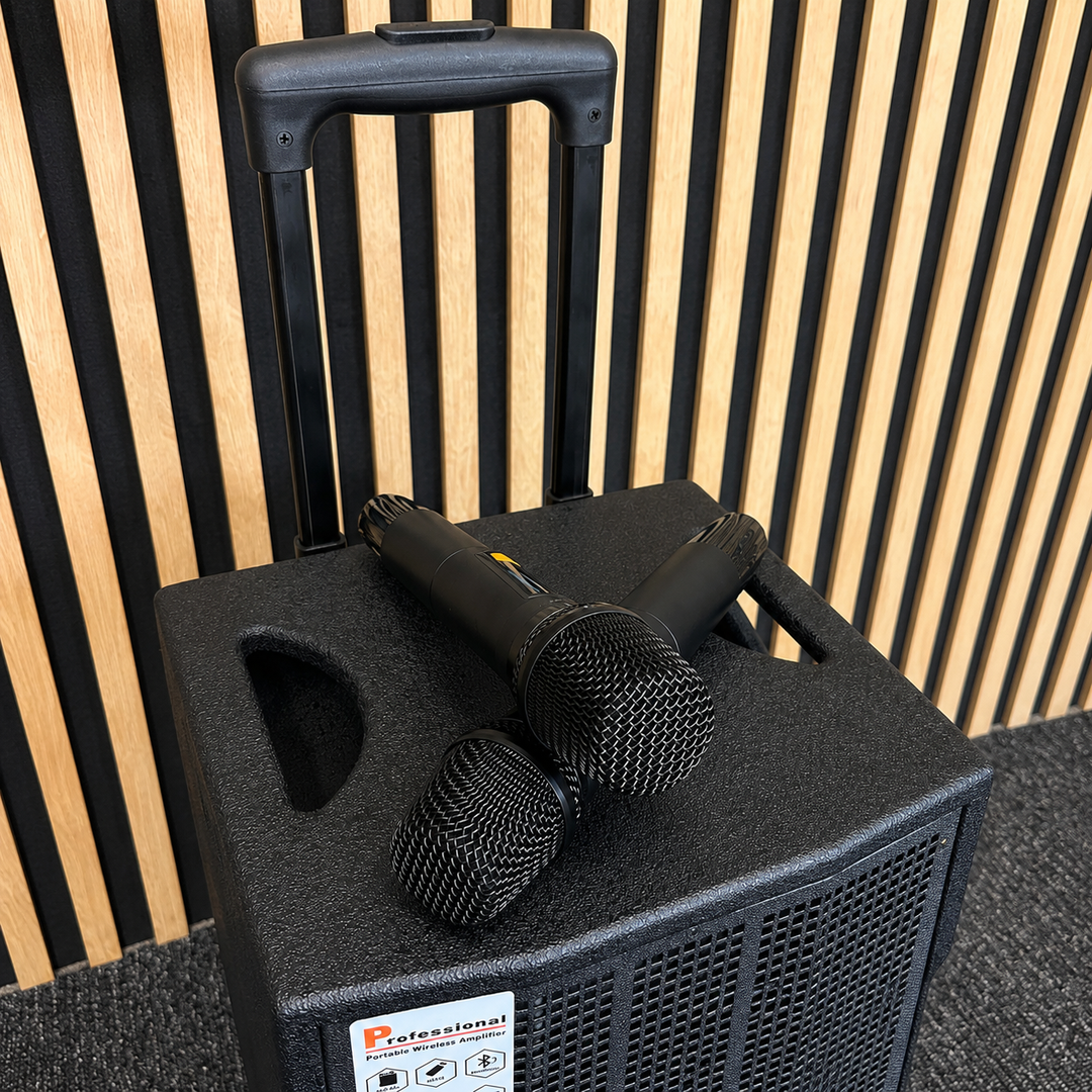 Audioport V8 transportabel aktiv høyttaler 250 W med 2 mikrofoner