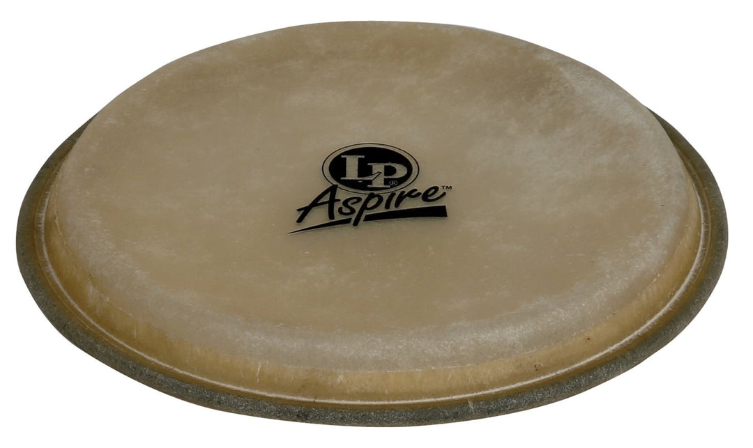 Latin Perkusjon bongoskinn Aspire EZ Curve Rims – 8" Hembra (LPA663B)
