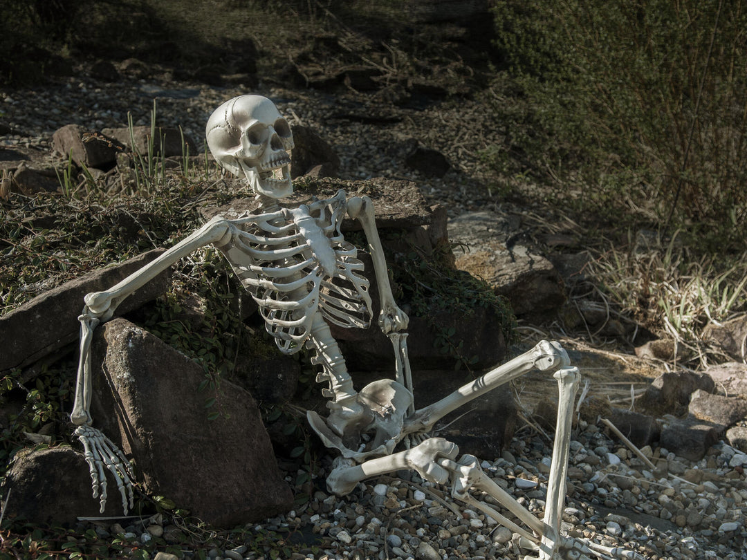 Halloween-skelet, hængende, hvidt, 150 cm