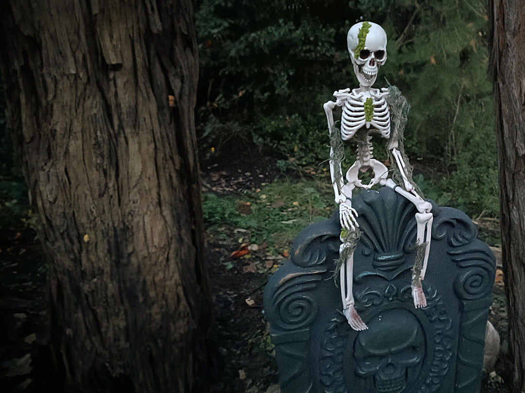 Halloween-skelet med mos, 40 cm