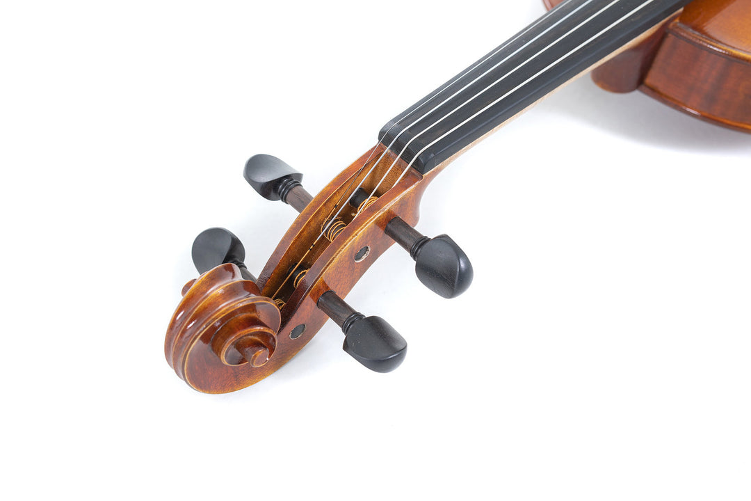 GEWA Fioliner Maestro 1 - 4/4 (Spilleklar inkl. GEWA Bio fiolinetui, GEWA Carbon Bow Advanced og Il Cannone-strenger)