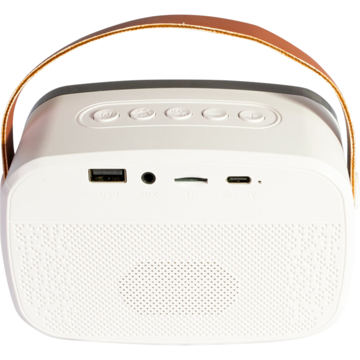 Ibiza Smart Karaoke Bluetooth-høyttaler med 2 trådløse mikrofoner