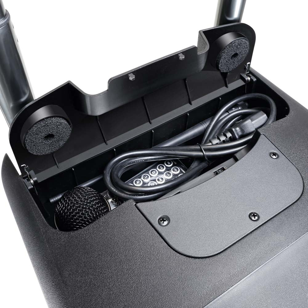 LD Systems Road Buddy 10