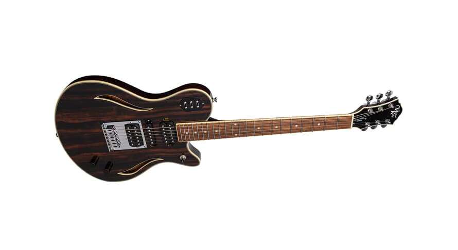 Michael Kelly Custom Collection Special elektrisk gitar, Striped Ebony
