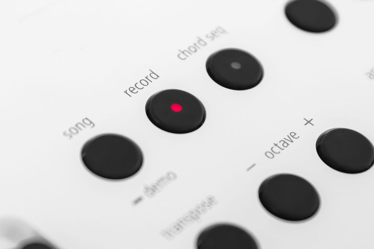 Roland GO:KEYS 5 startpakke (hvit)