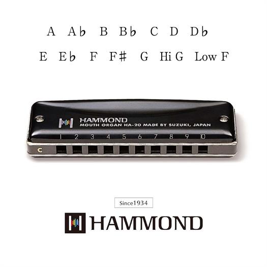 Suzuki Hammond HA-20 Munnspill (F#)
