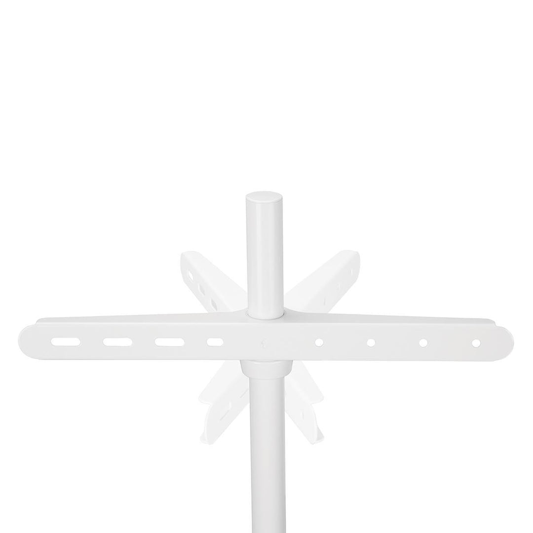 TV gulvstativ (hvit, bøk, 50-65")