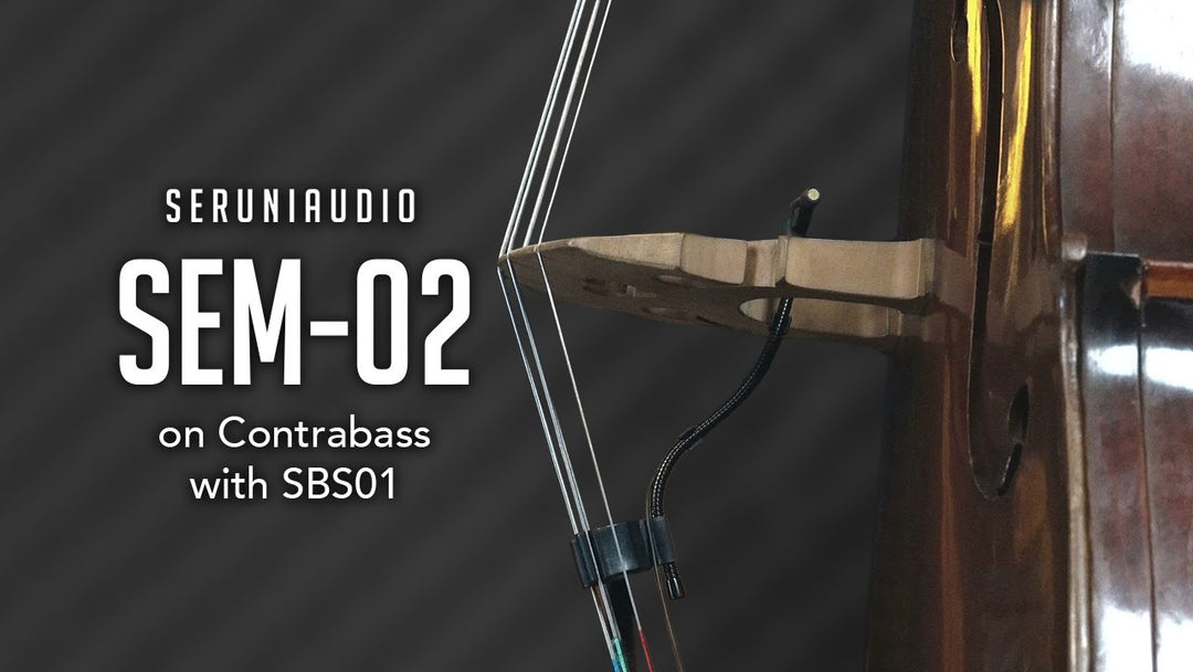 SBS01 Bass tilbehørssett