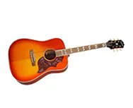 Halvakustisk Gitar