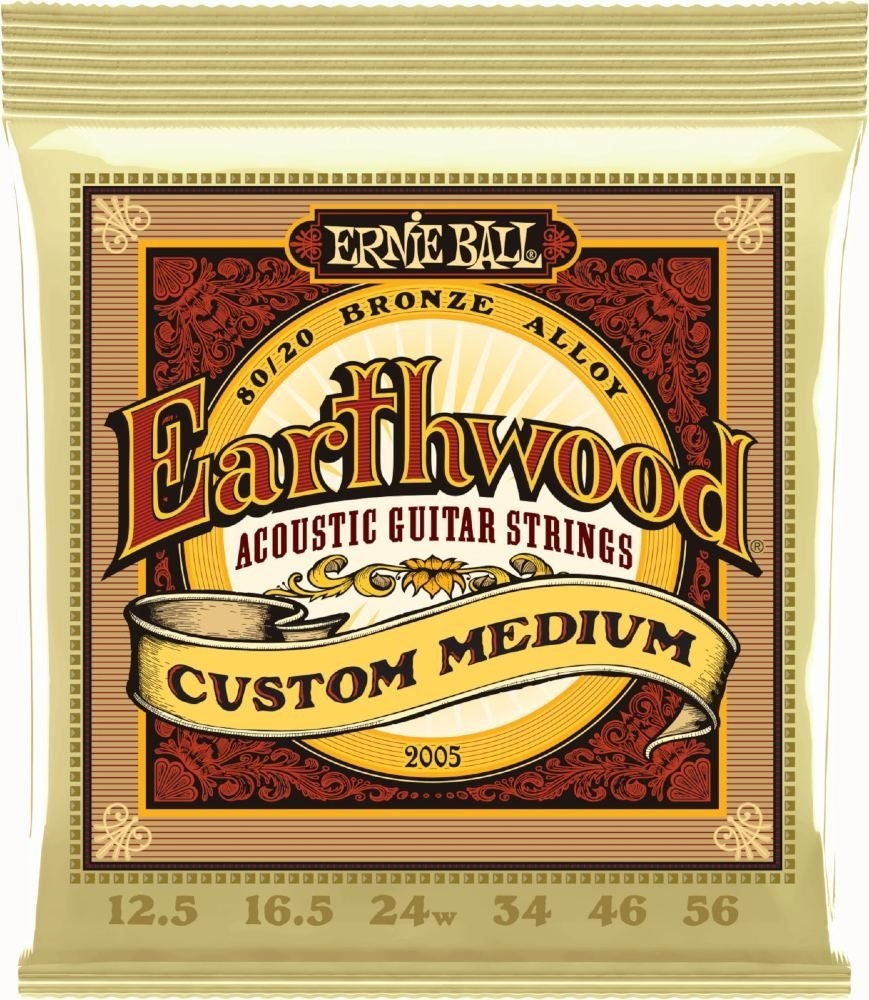 Ernie Ball 2005 Earthwood 80/20 Custom Medium