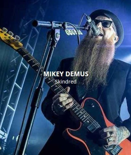Rotosound MD10 Mikey Demus signatursett til elektrisk gitar 10-54