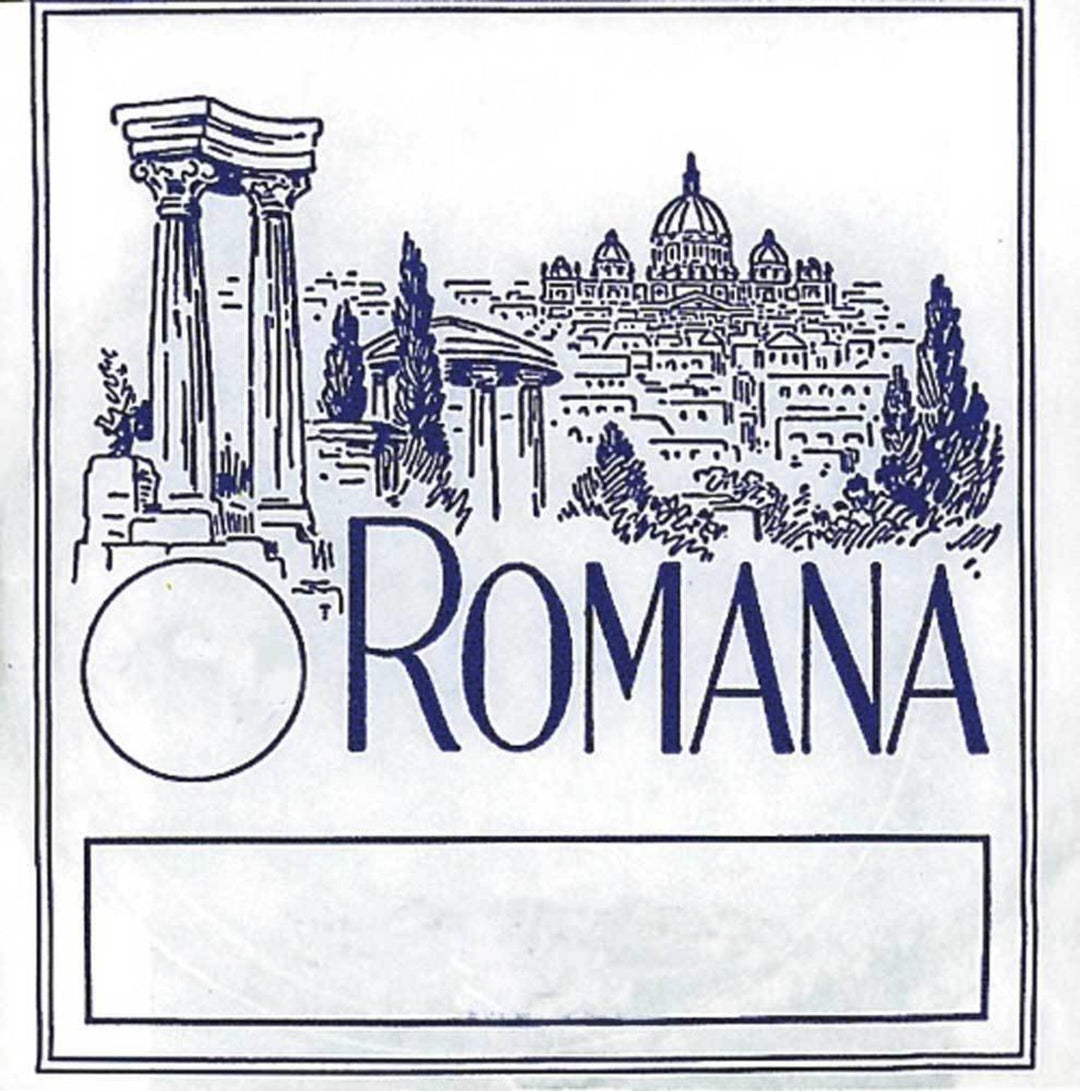 Romana Fioliner-strenger - G tarm