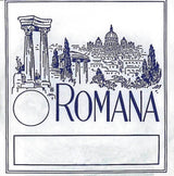 Romana Fioliner-strenger - G tarm
