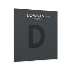 Thomastik-Infeld strenger for bratsj DOMINANT PRO - D syntetisk kjerne, krom (DP22)
