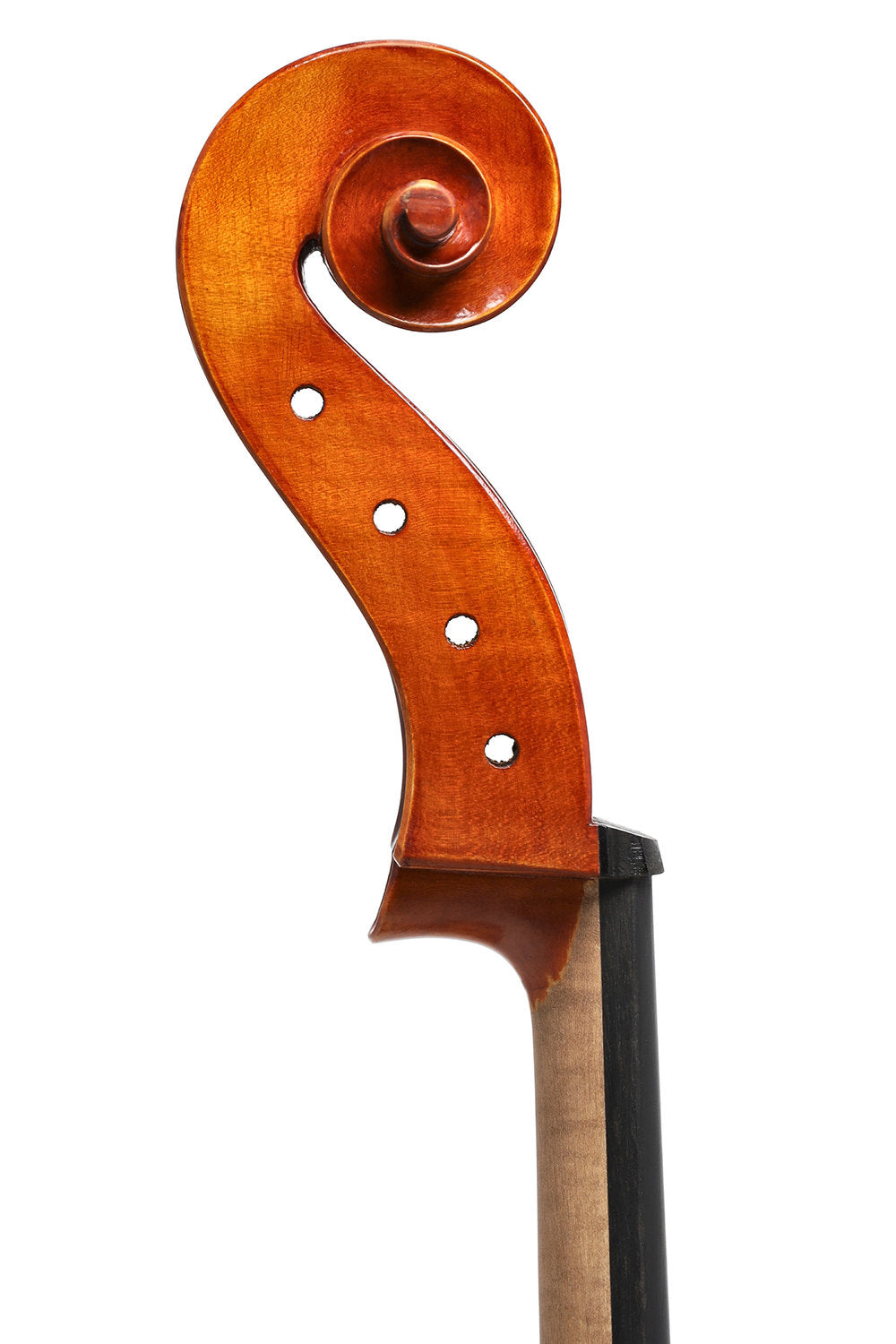 GEWA Europa Maestro cello 4/4, kastanjebrun spritllakk