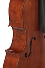 GEWA Europa Maestro cello 4/4, maroon spritlakk