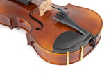 GEWA Allegro bratsj 38,2 cm med formet etui og massaranduba-bue