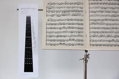 Savigny fingersettingsdiagrammer Fioliner