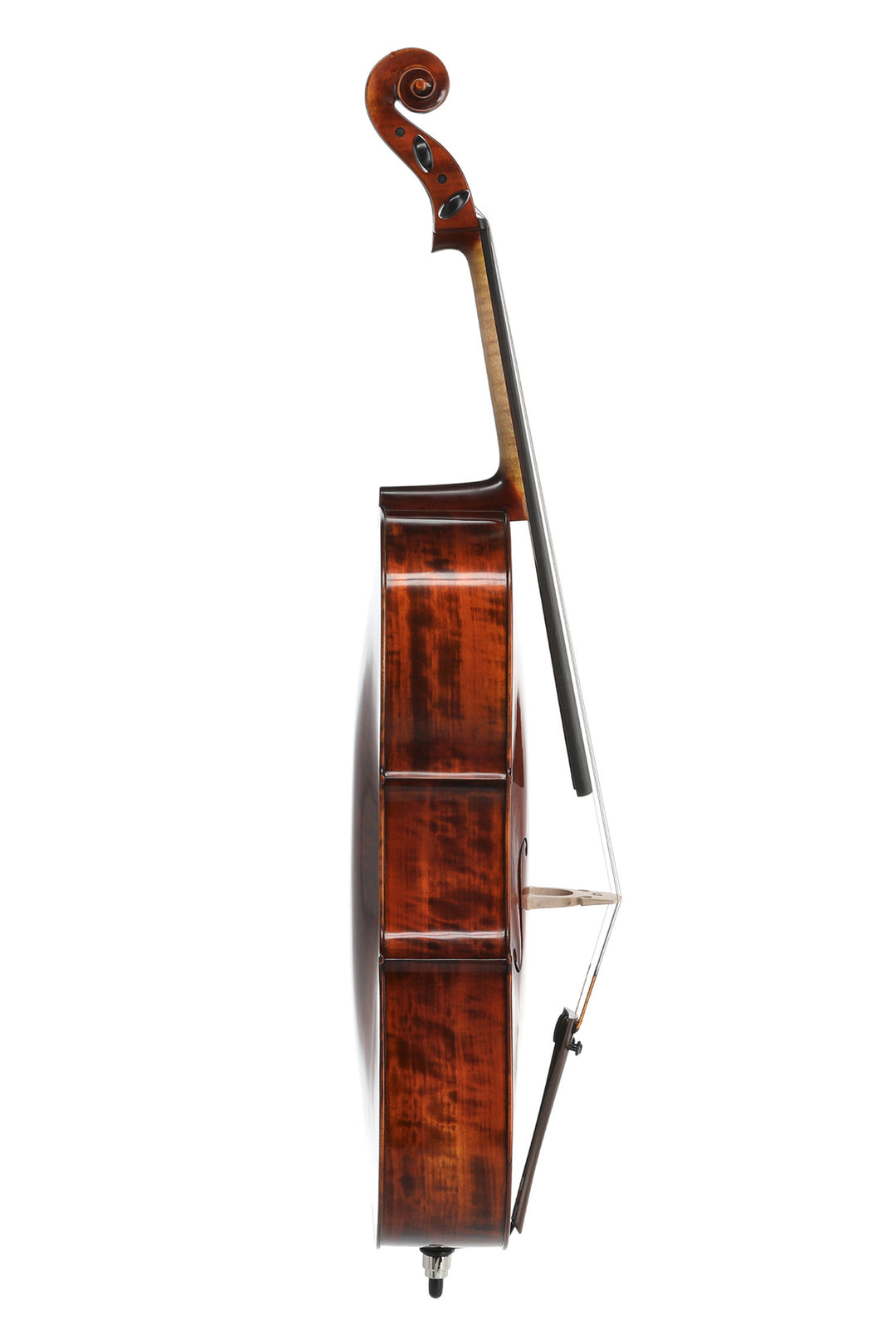 GEWA Concert cello Georg Walther - 4/4 (satt opp)