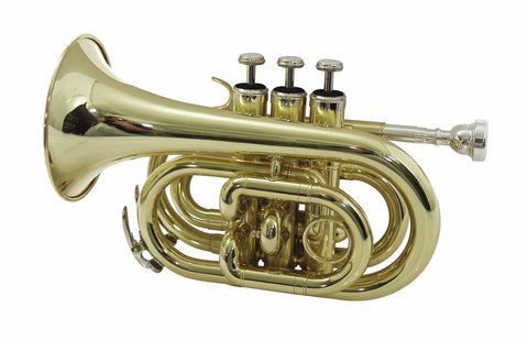 DiMavery TP-300 Bb lommetrompet, gull