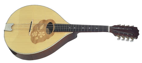 GEWA Mandola Pro Arte - Høyglans