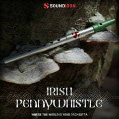 Iron Pack 11 - Irsk penny whistle