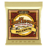 Ernie Ball Earthwood Bronse Gitarstrenger (akustisk)