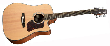 Walden D550CEW vestlig gitar (naturlig)