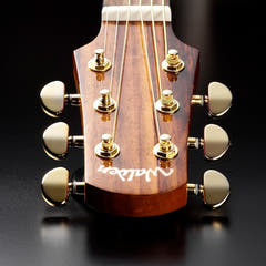 Walden G630CEW Western gitar (naturlig)