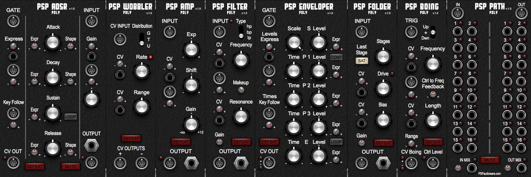 PSP Poly Modular-samling