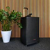 Audioport V15 transportabel aktiv høyttaler 500 W med 2 mikrofoner