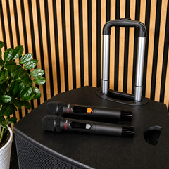 Audioport V15 transportabel aktiv høyttaler 500 W med 2 mikrofoner
