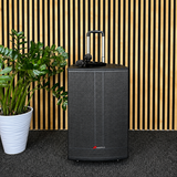 Audioport V15 transportabel aktiv høyttaler 500 W med 2 mikrofoner