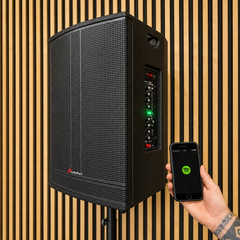 Audioport V15 transportabel aktiv høyttaler 500 W med 2 mikrofoner