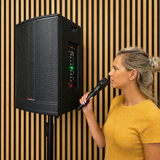 Audioport V15 transportabel aktiv høyttaler 500 W med 2 mikrofoner
