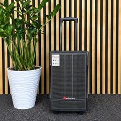 Audioport V8 transportabel aktiv høyttaler 250 W med 2 mikrofoner
